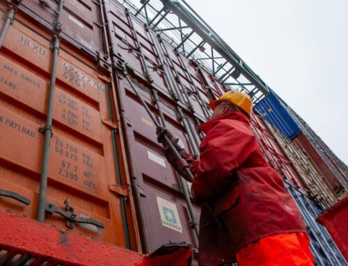 Staying Safe and Productive: Power Tool Operations in Cold and Wintry Conditions